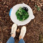 BE8 DAA41 25 BE 4 CED 91 B9 82 C36017552 F