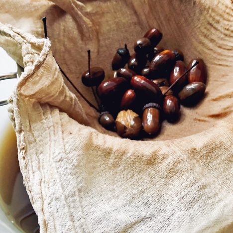 Acorn Sieved