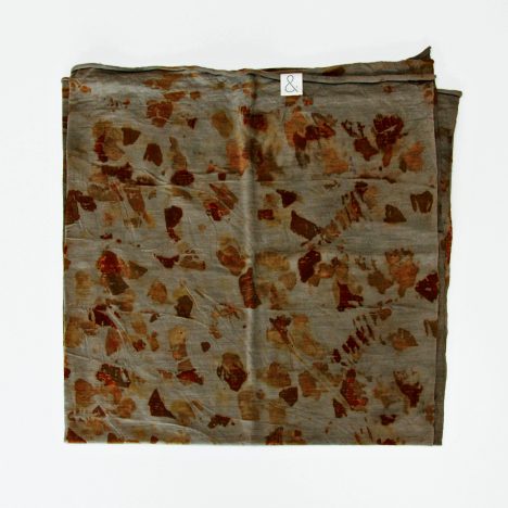 SQ S Nettle001ib 75 2