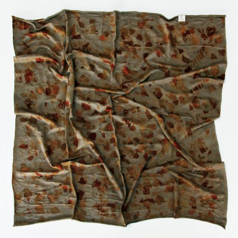 SQ S Nettle001ib 75 3